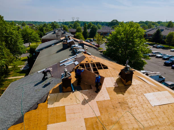 Best Commercial Roofing Services  in Roseto, PA