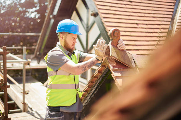 Best Roof Gutter Cleaning  in Roseto, PA