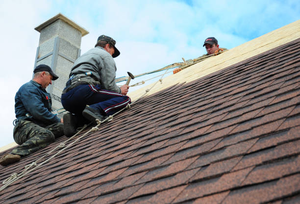 Roof Gutter Cleaning in Roseto, PA